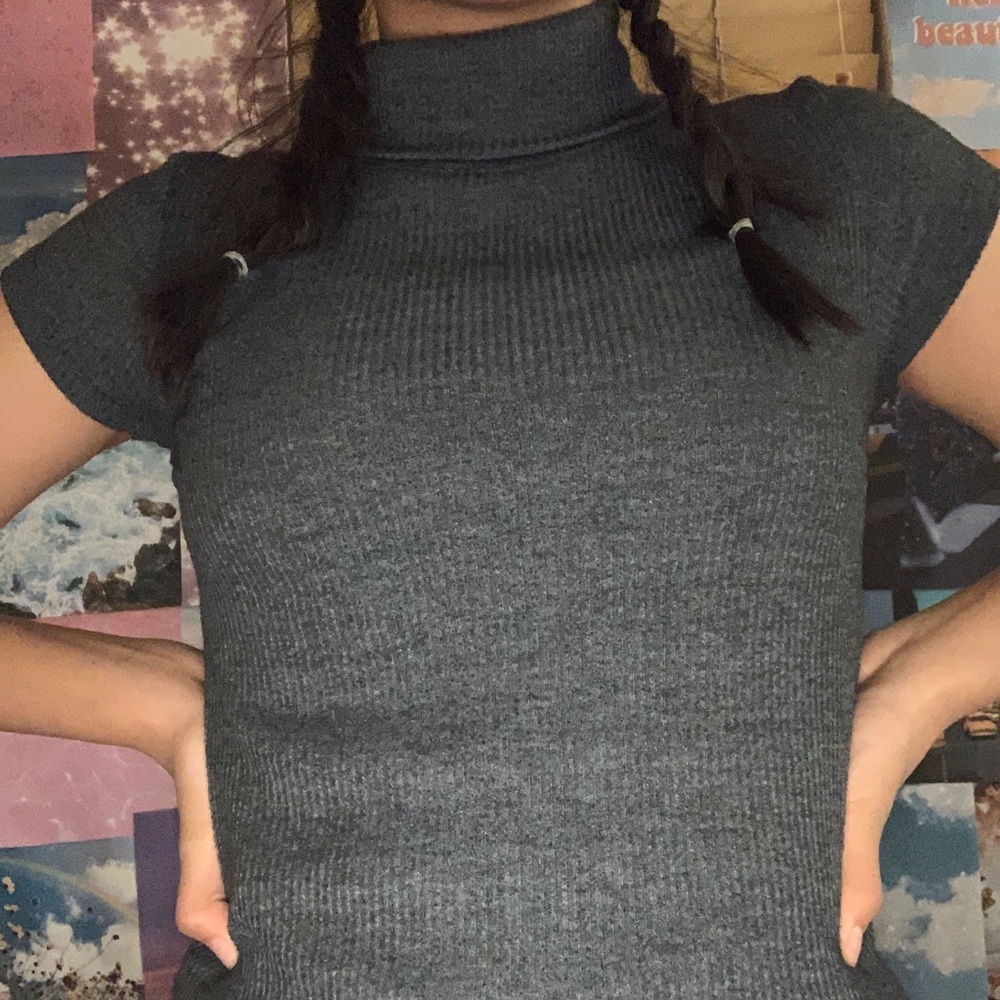 John Galt/Brandy Melville Grey Turtleneck
